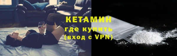 шишки Покачи