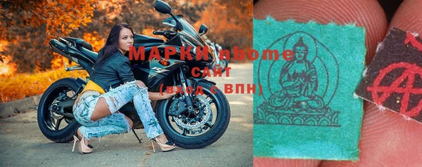 шишки Покачи