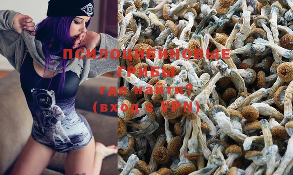 гашиш Абаза