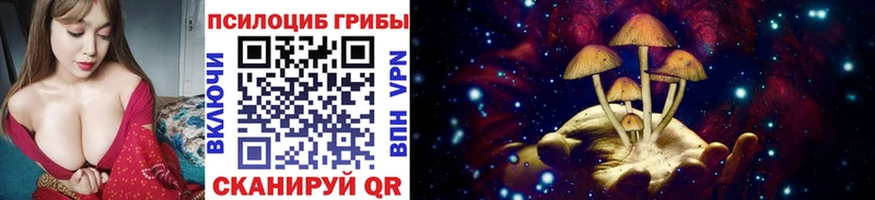 Псилоцибиновые грибы прущие грибы  Трубчевск 